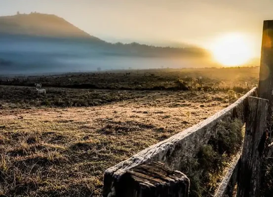 Cidades do Sul registram temperaturas negativas neste domingo