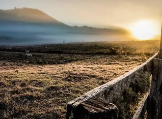 Cidades do Sul registram temperaturas negativas neste domingo